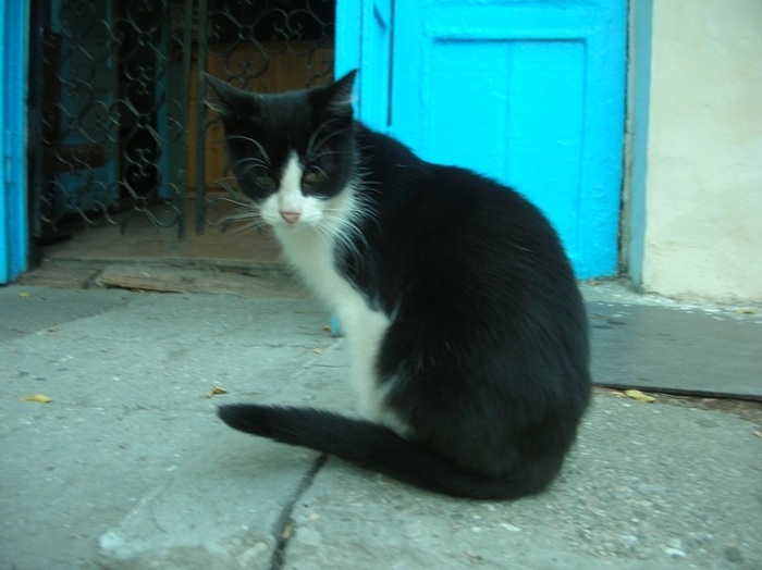 ��� ����� � ��������� � ����?