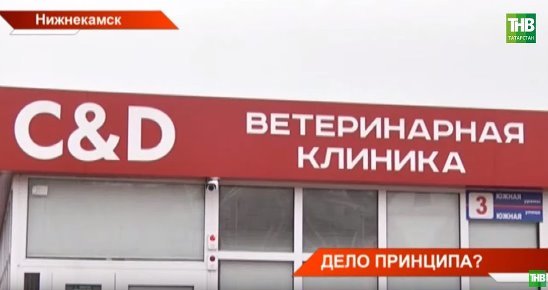 Управление ветеринарии Кабмина РТ: собаку в ветклинике должны были принять и без документов - Новости, Животные, Ветеринар, Россия, Татарстан, Нижнекамск, Прокуратура, Кабмин, Видео, Длиннопост