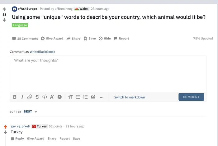 Turkey - Screenshot, Comments, Humor, Turkey, Turkey, Reddit