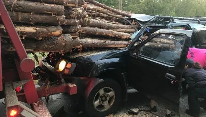 The destination is resting - USA, Accordion, Timber carrier, Log, Road