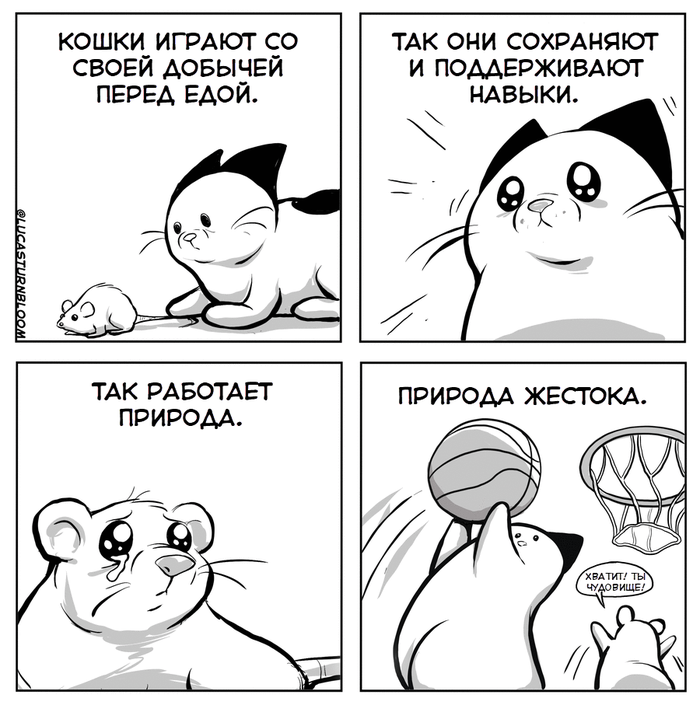 How to Cat,  2019 Howtocat, Lucas Turnbloom, , , , 