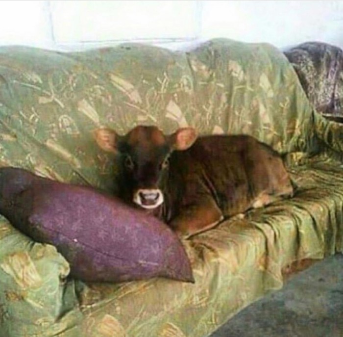   ?