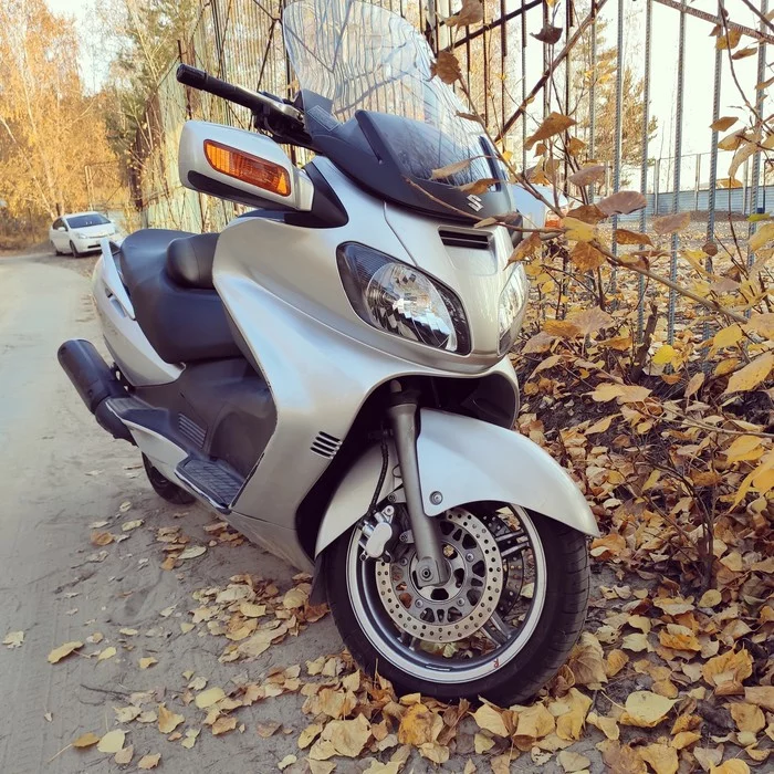 Autumn... - My, Moto, Suzuki skywave