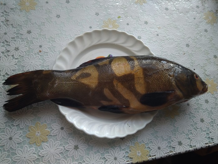 ����������