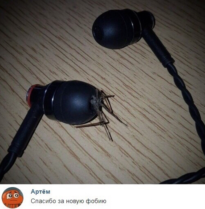 ����� �����