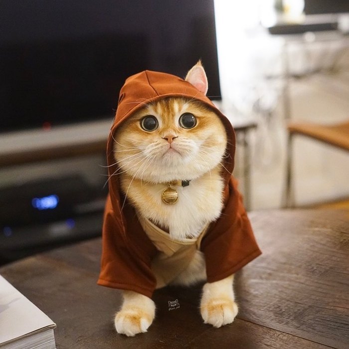     ? , , , , , Star Wars