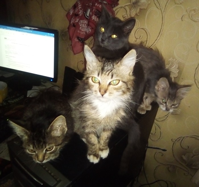    )))