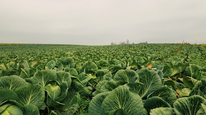 � �� ����� �� ����...