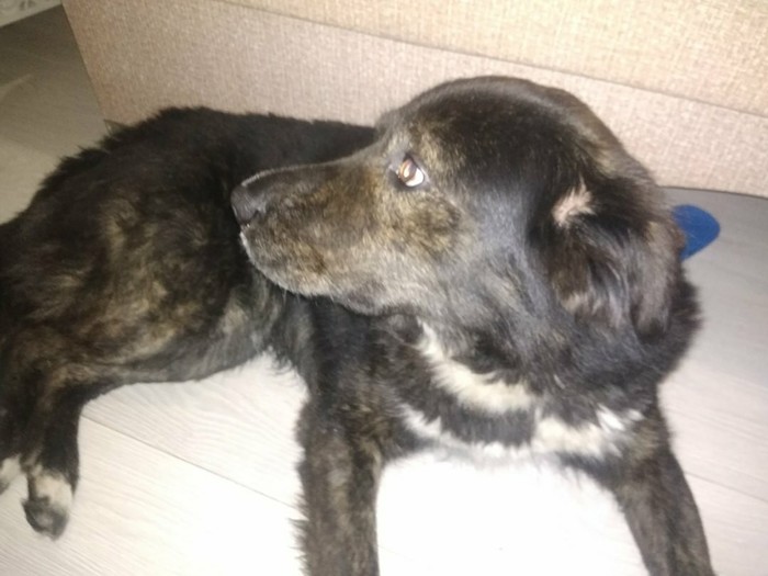 ������! ������ � ���������� ��� ������ ������! ���!