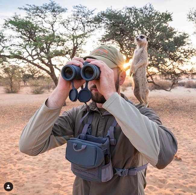 Friends and buddies - Binoculars, Do you see a gopher?, Meerkat, Wild animals, Africa