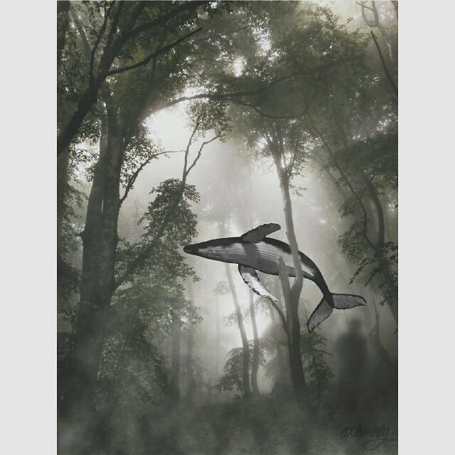 Only conversations.. - My, Whale, Art, Fantasy, Forest, Collage