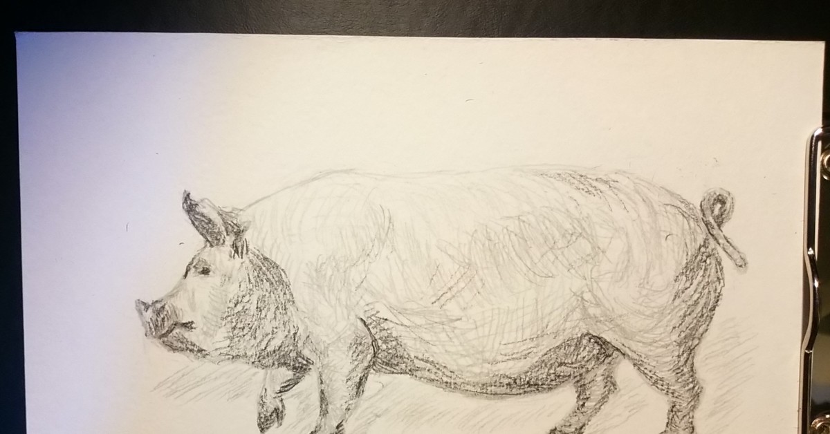 Свинья карандашом. Свинья зарисовка. Свинья рисунок карандашом. Поросенок рисунок. Нарисовать свинью.