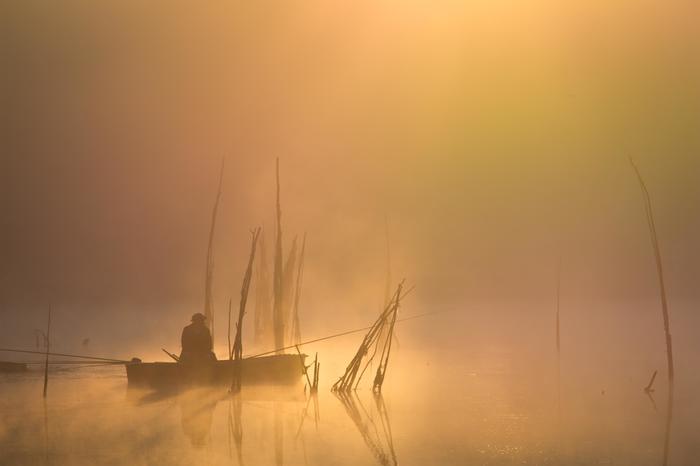 Fishing - The photo, Fishing, Morning, Fog, Nature