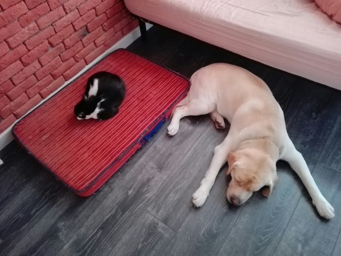  , , ,  , , , 