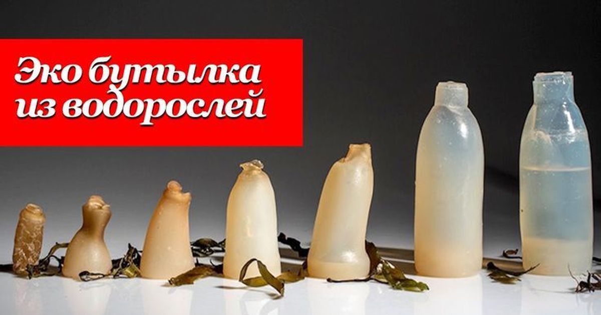 Разлагающиеся продукты. Биоразлагаемые полимеры упаковка будущего. Бутылки из биопластика. Биоразлагаемые полимеры. Биоразлагаемый пластик.