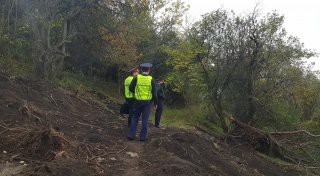 Destruction of an apple orchard in Almaty: suspects identified - Kazakhstan, Almaty, Apples, Garden, Theft, Detention, Negative