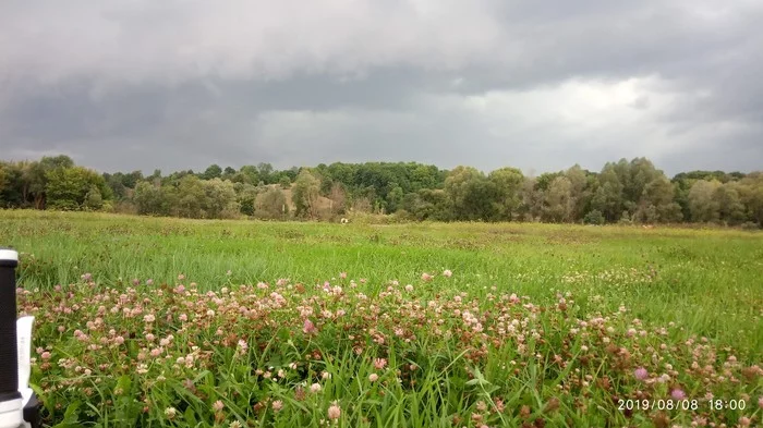 Before the rain. - My, Nature, Watch, Rain, Longpost