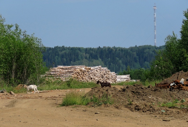 The sad story of one village. Pozhva. The sunken flagship. Part 2 - My, Pozhva, Story, Longpost