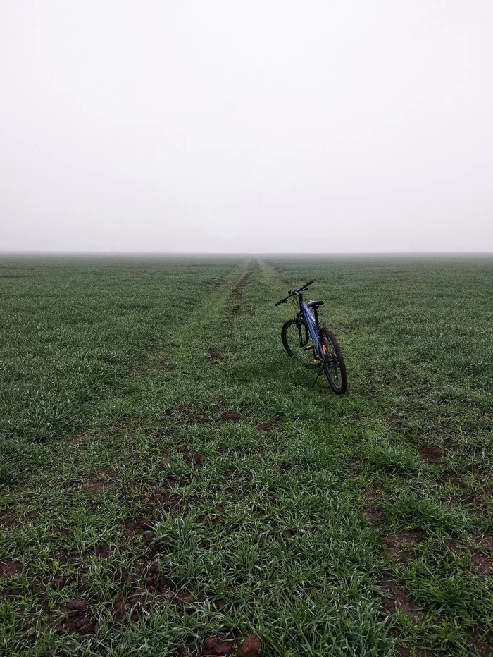 Foggy minimalism - My, A bike, Field, The photo, Minimalism, Fog, Longpost