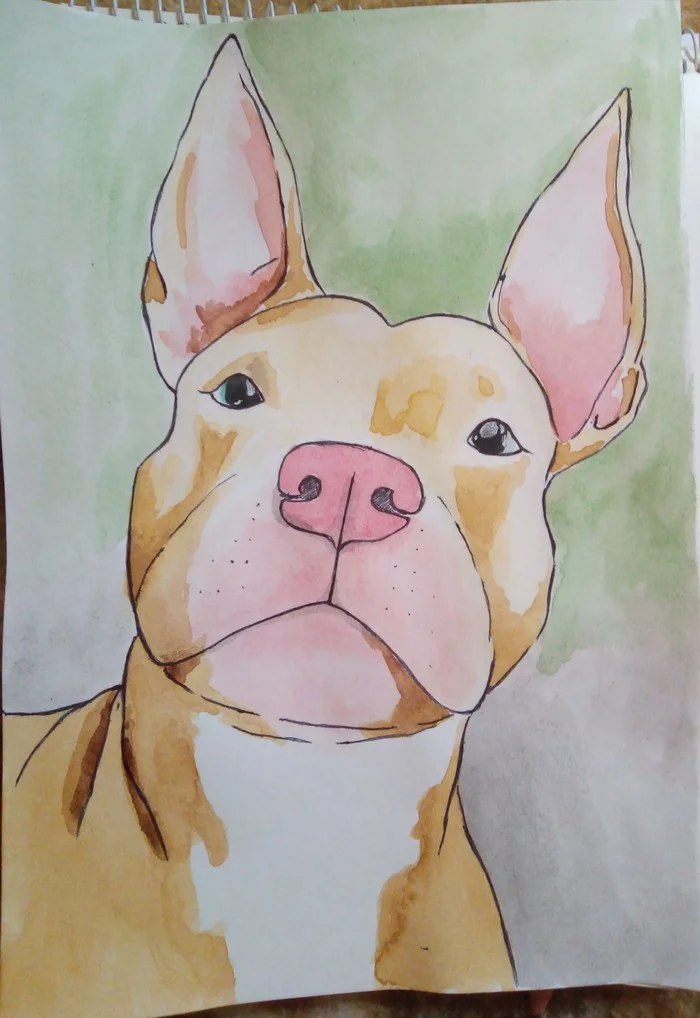 Dog - My, Drawing, Watercolor, Sketch