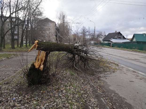 Hurricane in Yaroslavl: chronicle of a wild night - Yaroslavl, Hurricane, Video, The photo, Chronicle, Longpost