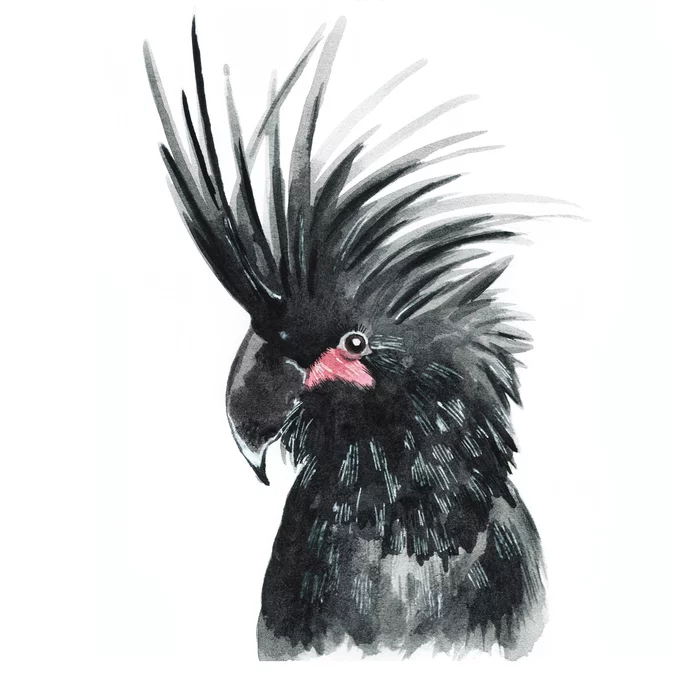 Inktober 2019 - My, Inktober, Art, Watercolor, Mascara, Drawing, Birds, Animals, Owl, Longpost