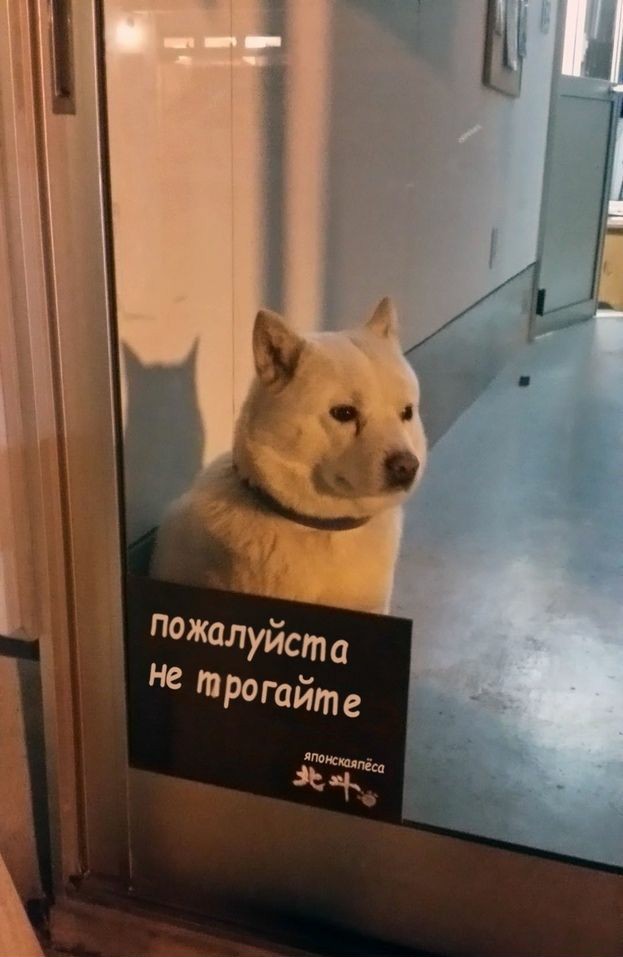 ����������