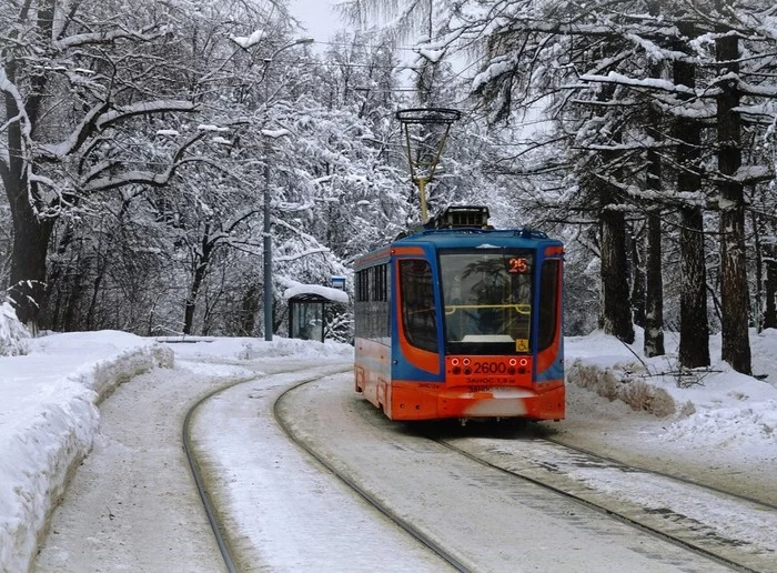 Trophy - Story, From the network, Tram