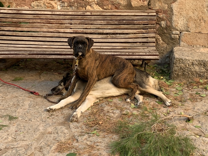 Мягенько сидится