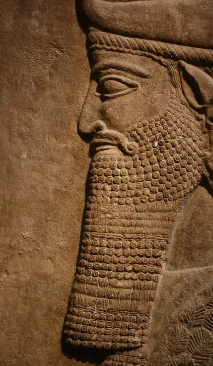 Hammurapism - Excerpt from a book, Hammurabi, Stalinism, Iodine net, Longpost
