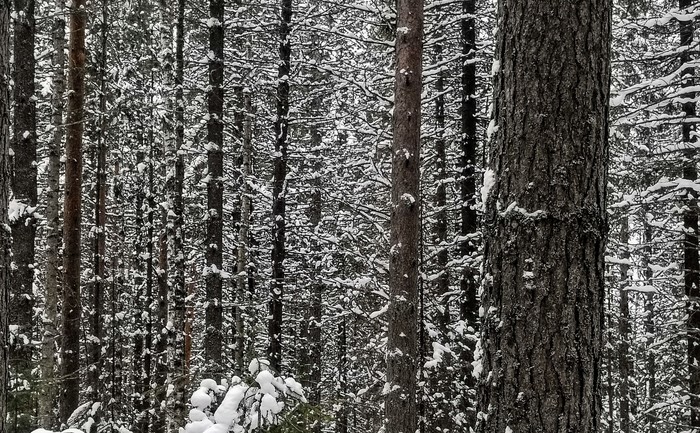 ��������������