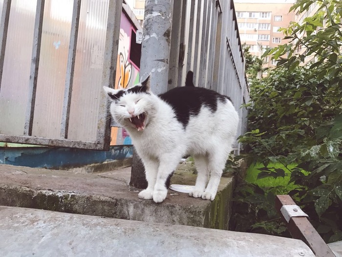 ����� �������� �� ������ ������ ������ ������.