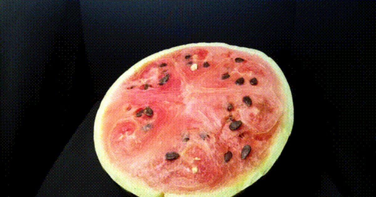 Watermelon in 7 days - Watermelon, spoiled, A week, GIF
