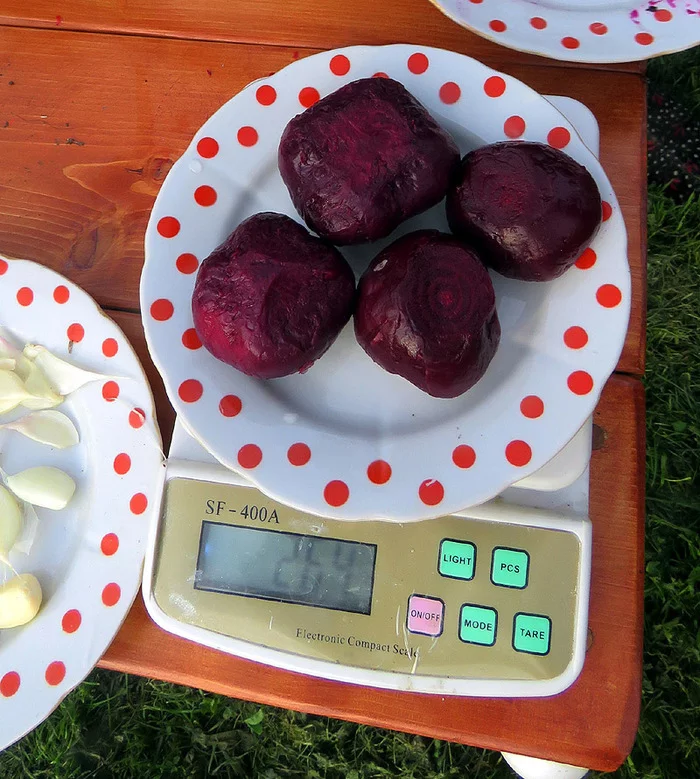 Return of Van Helsing. Making Van Helsing Salad - My, Van Helsing, Longpost, Cooking, Salad, Garlic, Beet, Recipe