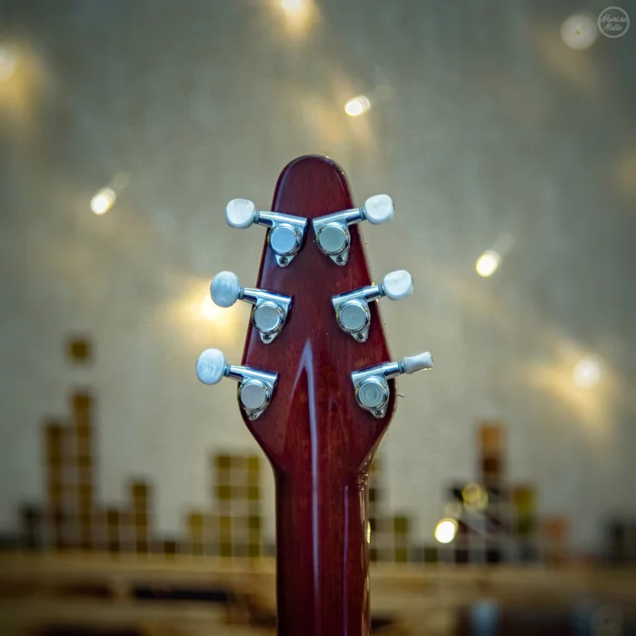 Red Special - Длиннопост, Брайан Мэй, Queen, Своими руками, Электрогитара, Гитара, Моё