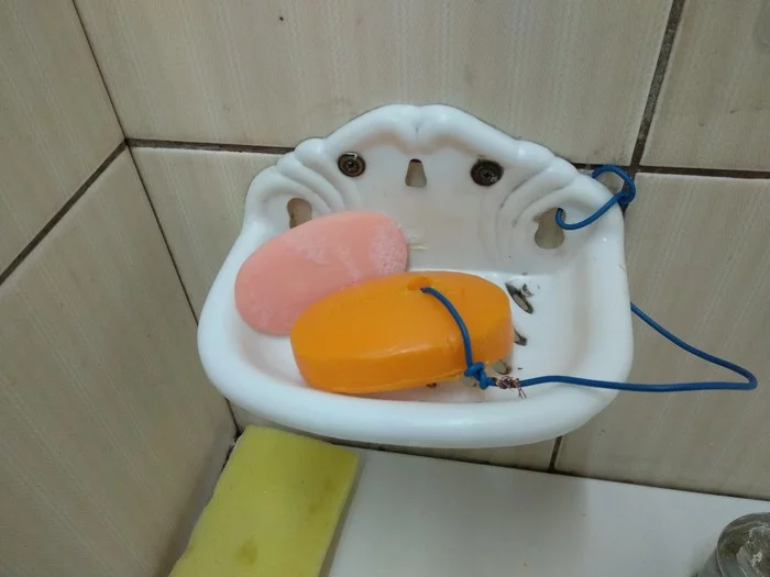 Anti-theft - Soap, Anti-theft system