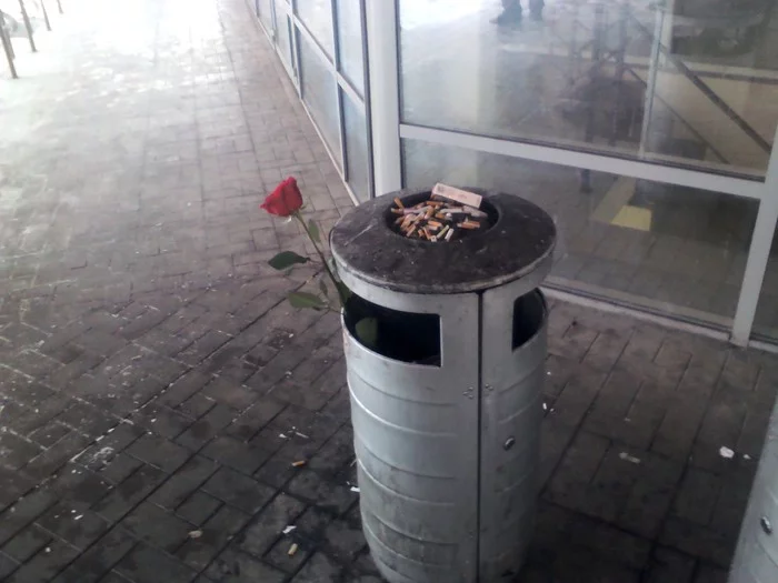 Red rose emblem of sadness - My, the Rose, Urn, Smoking room, House, Entrance, Presents, Disposal, Cigarette butts