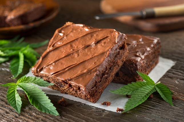 In Germany, a cake laced with cannabis was accidentally served at a funeral. Covered 13 people - Germany, Cake, Marijuana, Stubbornness, Funeral