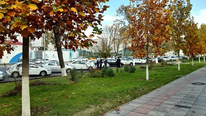 Walking around Tashkent #6. Walk on a November day. - My, Tashkent, Uzbekistan, Walk, The photo, The park, Longpost