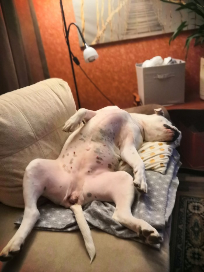 ������? ����� ������?