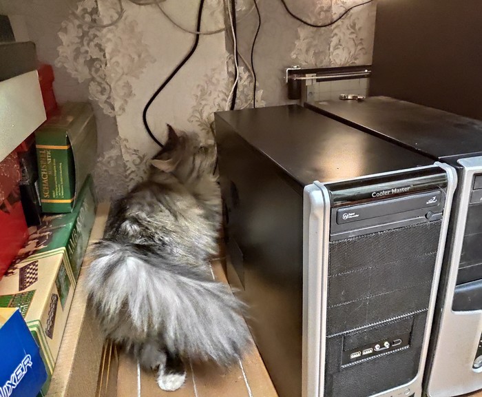 ��� ����� �� �������