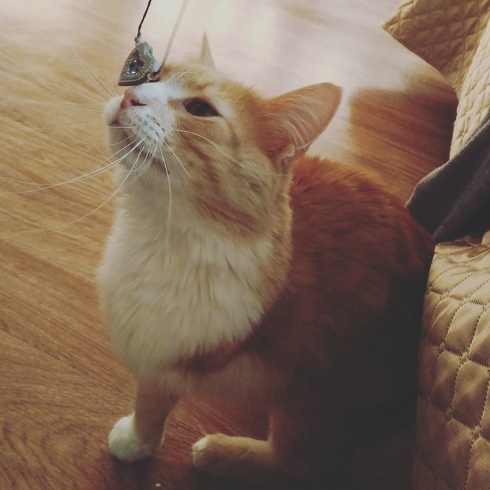   ,      , , ,  , 