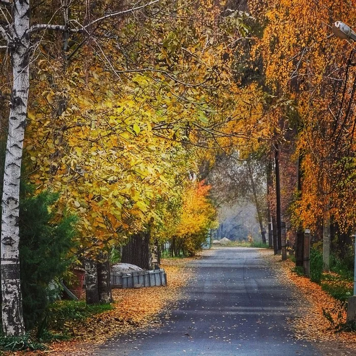 Осенняя пора..... - Моё, Осень, Алматы