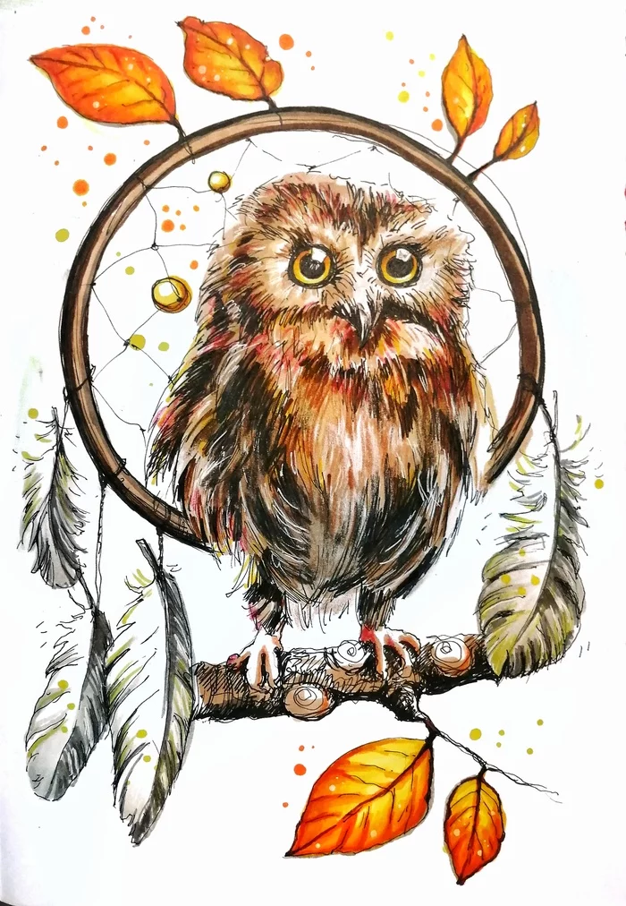 Owl - My, Owl, Dreamcatcher, Birds, Art, Sketch, Sketchbook, Alcohol markers, Liner