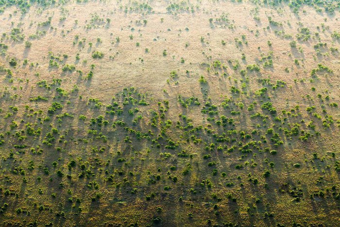 More than 20 countries are building a Great Green Wall - Africa, Ecology, Longpost, great green wall