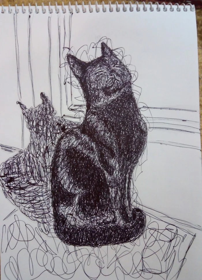 Sunny day - My, Drawing, Kalyaki-Malyaki, Sketch, cat