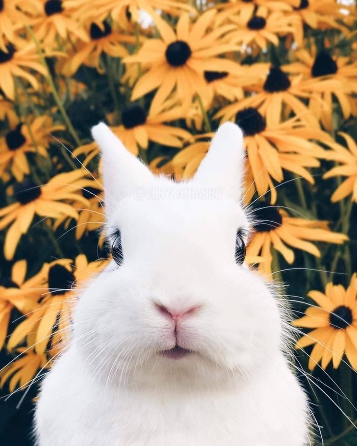 Когда у тебя толстые щечки, но ты все равно фотогеничен!