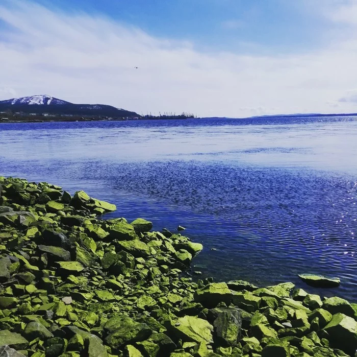 Green stones - Seaweed, Sea, Natural stones, Greenery