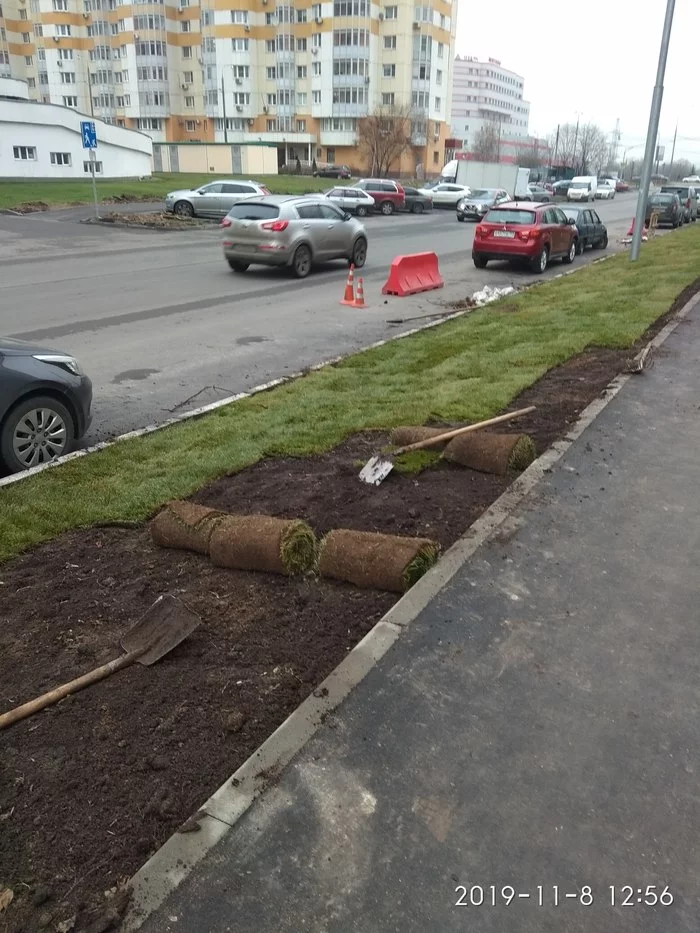 Подготовка к зиме - Моё, Газон, Москва, Коммунальные службы, Длиннопост