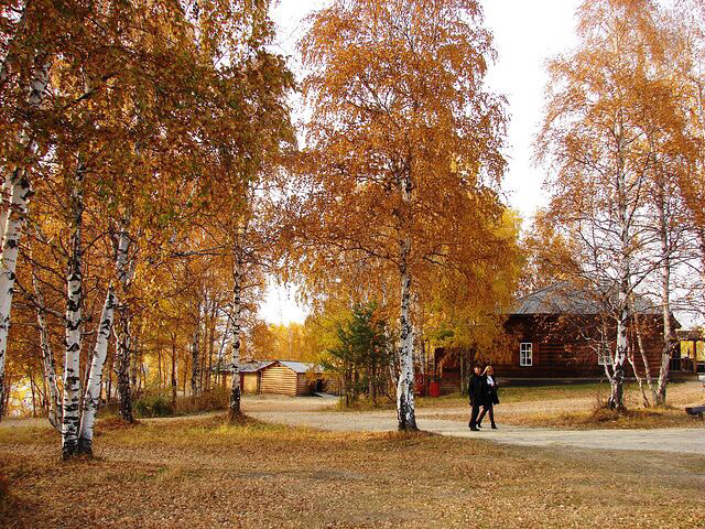 Taltsy Museum. One day of autumn. - My, Museum, Wooden architecture, Autumn, The photo, Mood, Longpost